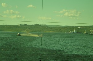 P1030590