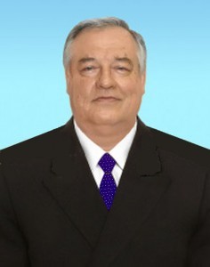 д21-236x300